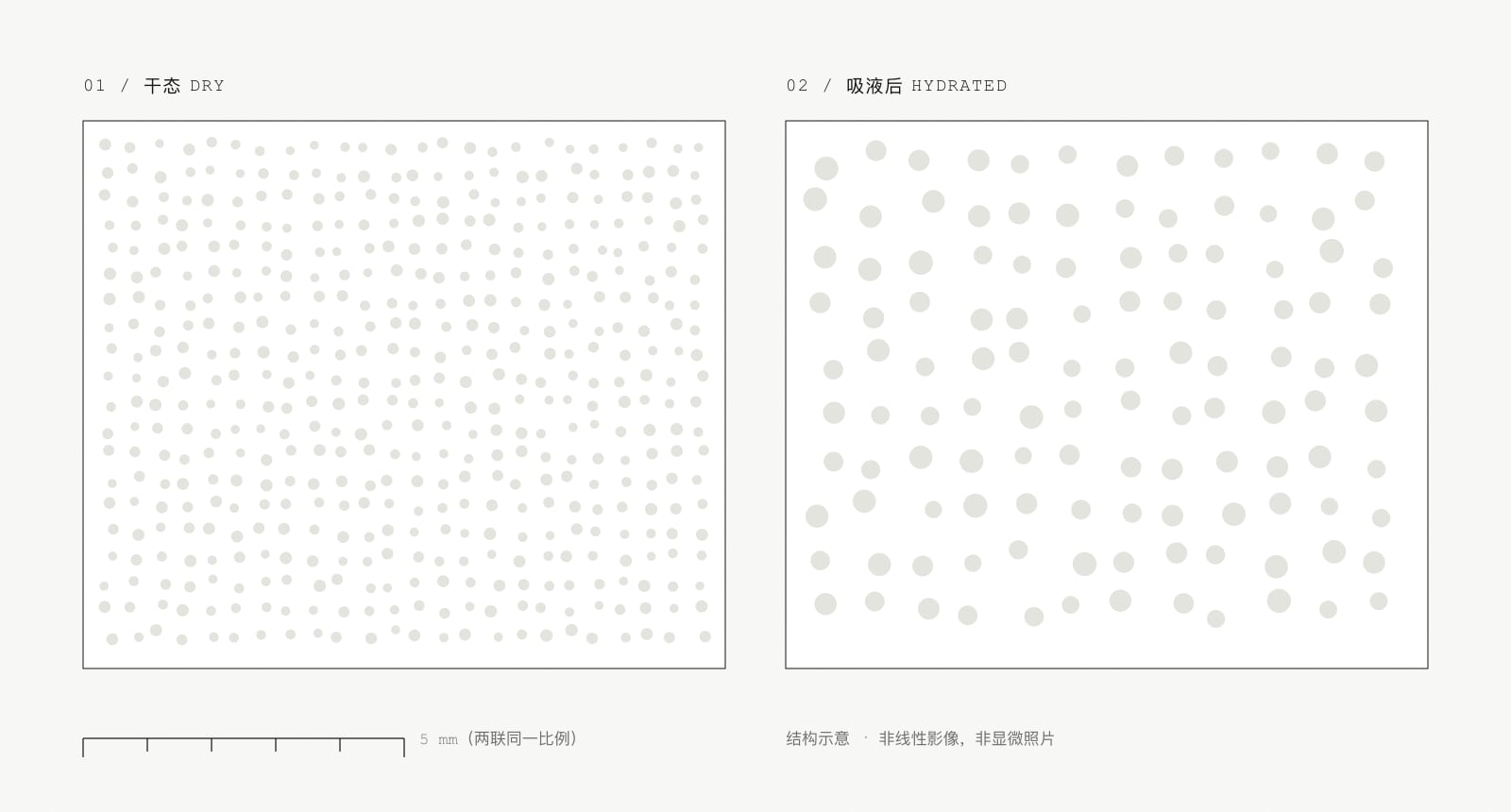 水丝绵孔隙结构示意:左侧干态孔径小、壁厚,右侧吸液后孔径扩大、壁变薄